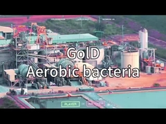 VSA VPSA ΓΕΝΕΡΑΤΟΣ Οξυγόνου